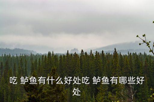 吃 鱸魚有什么好處吃 鱸魚有哪些好處