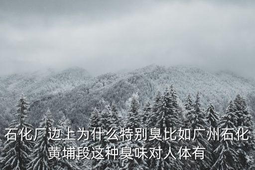 石化廠邊上為什么特別臭比如廣州石化黃埔段這種臭味對人體有