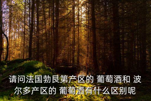 請問法國勃艮第產區的 葡萄酒和 波爾多產區的 葡萄酒有什么區別呢
