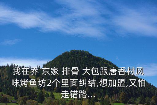 我在喬 東家 排骨 大包跟唐香村風味烤魚坊2個里面糾結,想加盟,又怕走錯路...