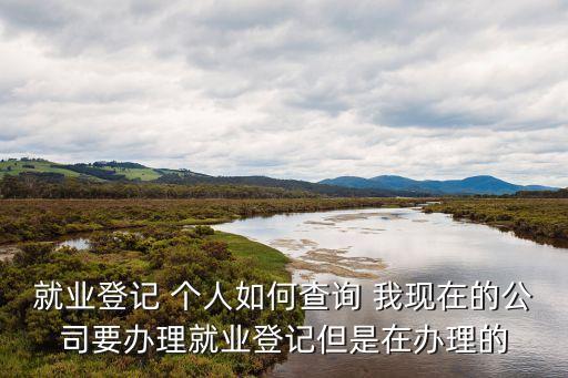 就業登記 個人如何查詢 我現在的公司要辦理就業登記但是在辦理的