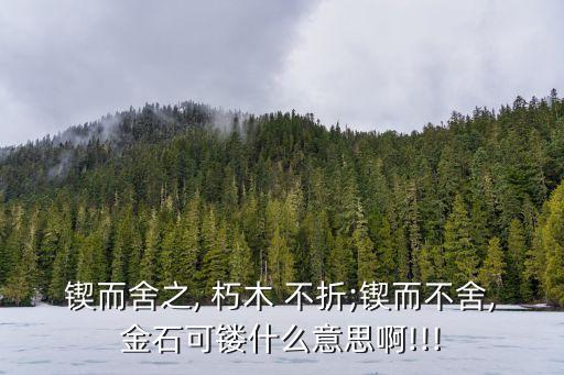 鍥而舍之, 朽木 不折;鍥而不舍,金石可鏤什么意思啊!!!