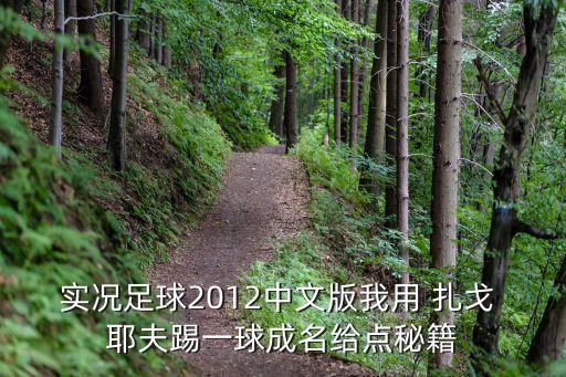 實況足球2012中文版我用 扎戈 耶夫踢一球成名給點秘籍