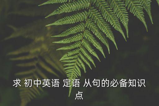 初中定語從句