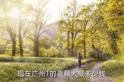 廣州實地常春藤價格，現在廣州1的蠱藤大概多少錢