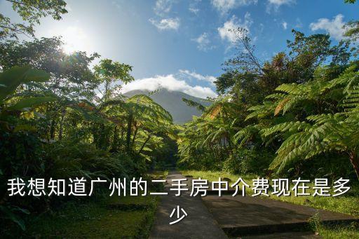 我想知道廣州的二手房中介費現在是多少