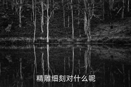 精雕細(xì)刻,精雕細(xì)刻指什么?