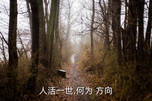 人生的方向,大學生如何找到自己的人生方向?