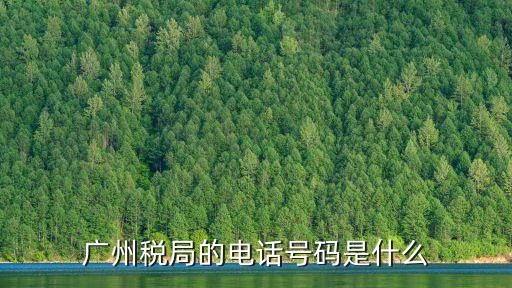 廣州稅局的電話號碼是什么