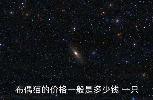  布偶貓的價格一般是多少錢 一只