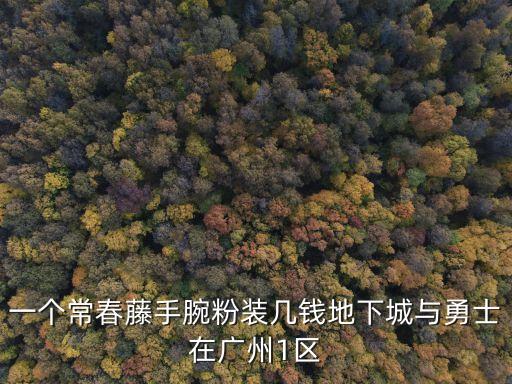 一個常春藤手腕粉裝幾錢地下城與勇士在廣州1區