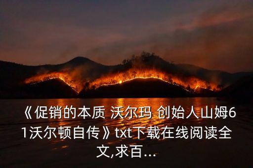 《促銷的本質 沃爾瑪 創始人山姆61沃爾頓自傳》txt下載在線閱讀全文,求百...
