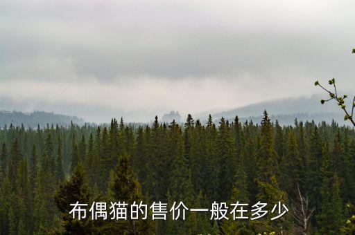 布偶貓多少錢一只,藍貓多少錢一只