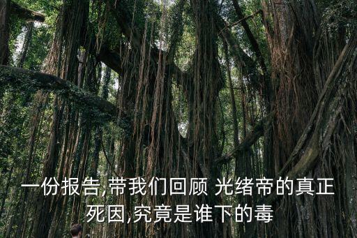 光緒死因
