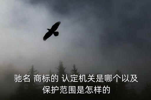  馳名 商標的 認定機關是哪個以及 保護范圍是怎樣的