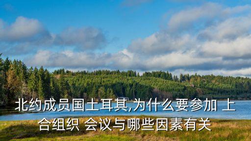 上合會議,鄭州上合會議