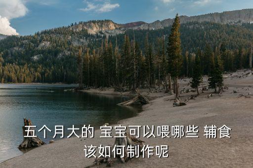五個月寶寶輔食,一歲五個月寶寶輔食