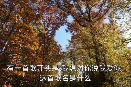 有一首歌開頭是:我想對(duì)你說(shuō)我愛你,這首歌名是什么