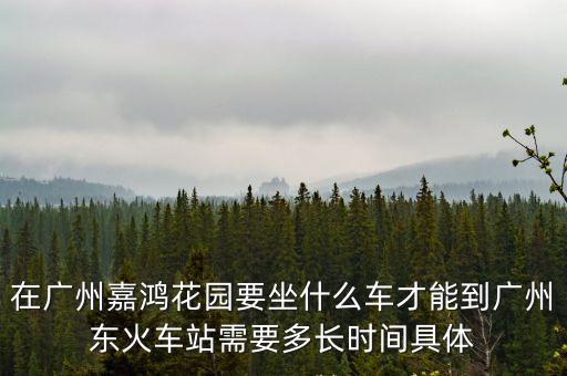 在廣州嘉鴻花園要坐什么車才能到廣州東火車站需要多長時間具體