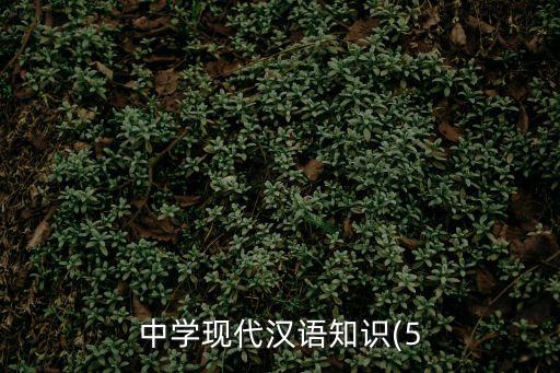 中學(xué)現(xiàn)代漢語(yǔ)知識(shí)(5