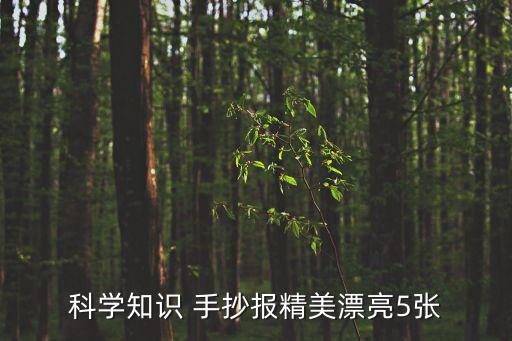 科技手抄報模板,3一6年級科技手抄報