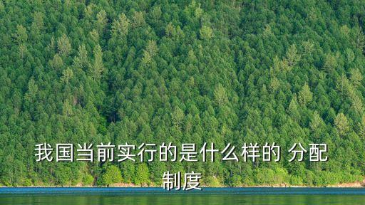  我國當前實行的是什么樣的 分配 制度