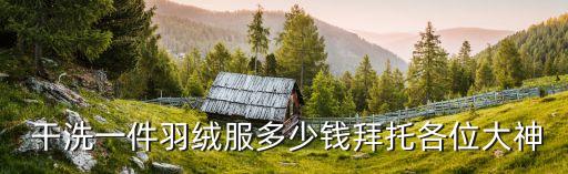 干洗多少錢,毛呢大衣干洗多少錢