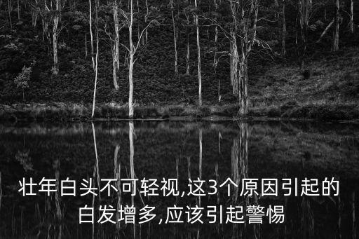 壯年白頭不可輕視,這3個原因引起的 白發增多,應該引起警惕