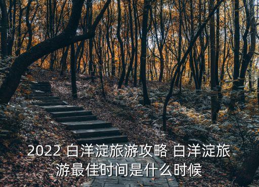 2022 白洋淀旅游攻略 白洋淀旅游最佳時間是什么時候