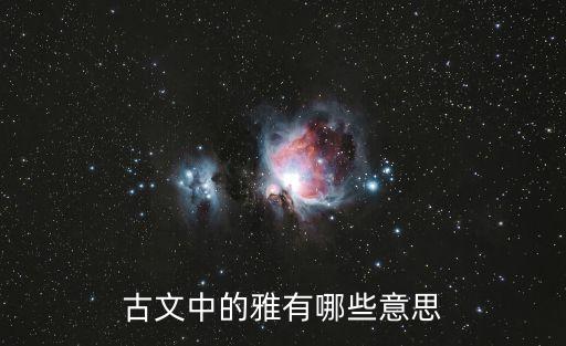 雅字的含義,雅代表什么意思
