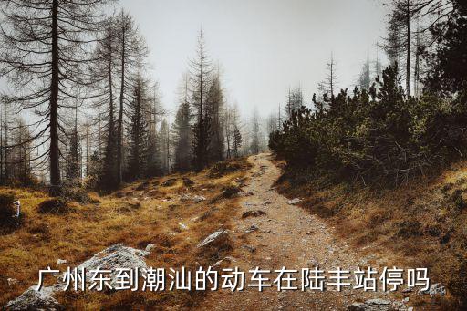 廣州東一汕尾動車，廣州東站有去汕尾的車嗎