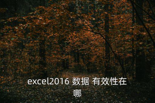 excel2016 數據 有效性在哪