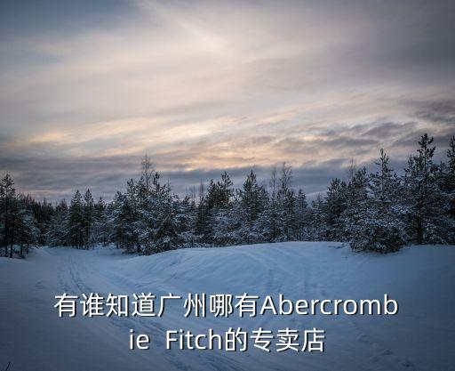 有誰知道廣州哪有Abercrombie  Fitch的專賣店
