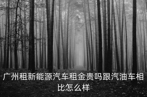 廣州租新能源汽車租金貴嗎跟汽油車相比怎么樣