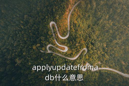  applyupdatefromadb什么意思