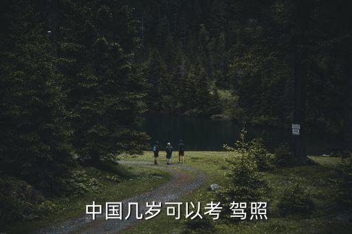 多少歲可以考駕照,滿(mǎn)16周歲可以考駕照嗎