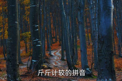  斤斤計較的拼音