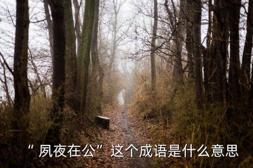 夙夜在公的意思,晨光|潮流解碼:從早到晚，從未有人在公共場所這樣做過