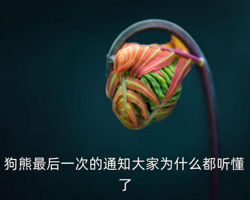 狗熊最后一次的通知大家為什么都聽懂了