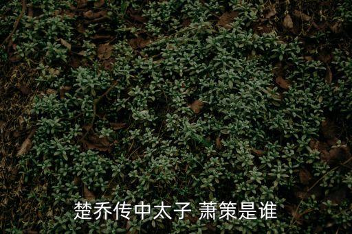 蕭策,趙策死于其母之手網民質疑是否為堯皇后親生兒