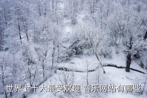 世界上十大最受歡迎 音樂(lè)網(wǎng)站有哪些