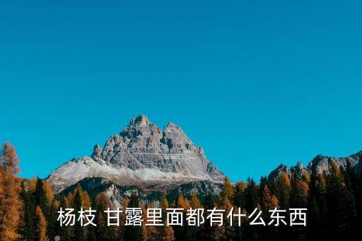 楊枝甘露是什么,觀音的楊枝甘露是什么