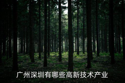 廣州高新技術產業，廣州深圳有哪些高新技術產業