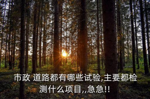 市政道路工程質(zhì)量檢驗(yàn)評(píng)定標(biāo)準(zhǔn)