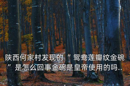 鴛鴦圖片,野生鴛鴦圖片