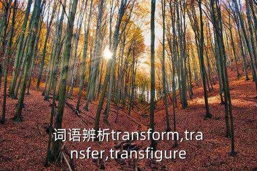 詞語辨析transform,transfer,transfigure