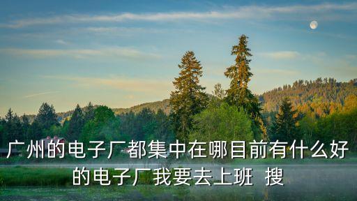 廣州的電子廠在哪里，廣州的電子廠都集中在哪目前有什么好的電子廠我要去上班  搜