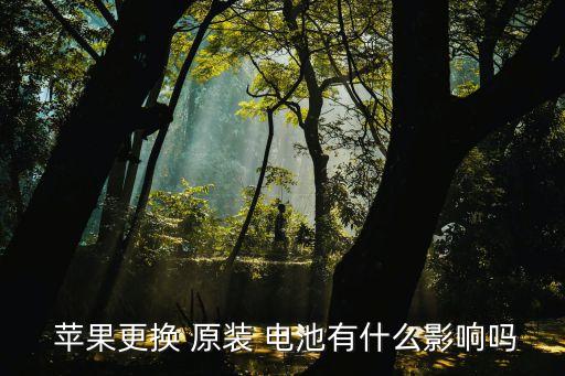 蘋果手機原裝電池,蘋果手機電池哪里買?