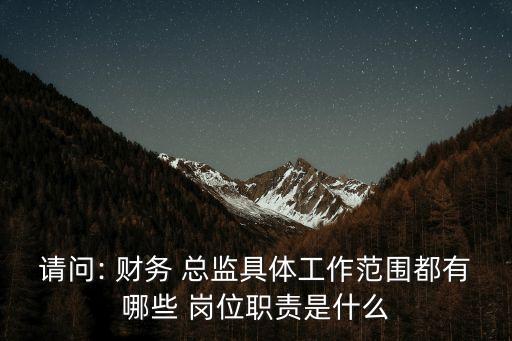 財務總監崗位要求