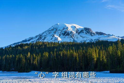 “心”字 組詞有哪些